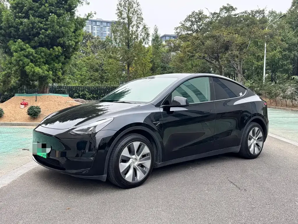 Tesla Model Y — фото 1