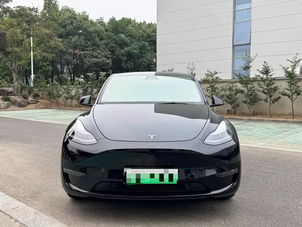 Tesla Model Y — фото 8