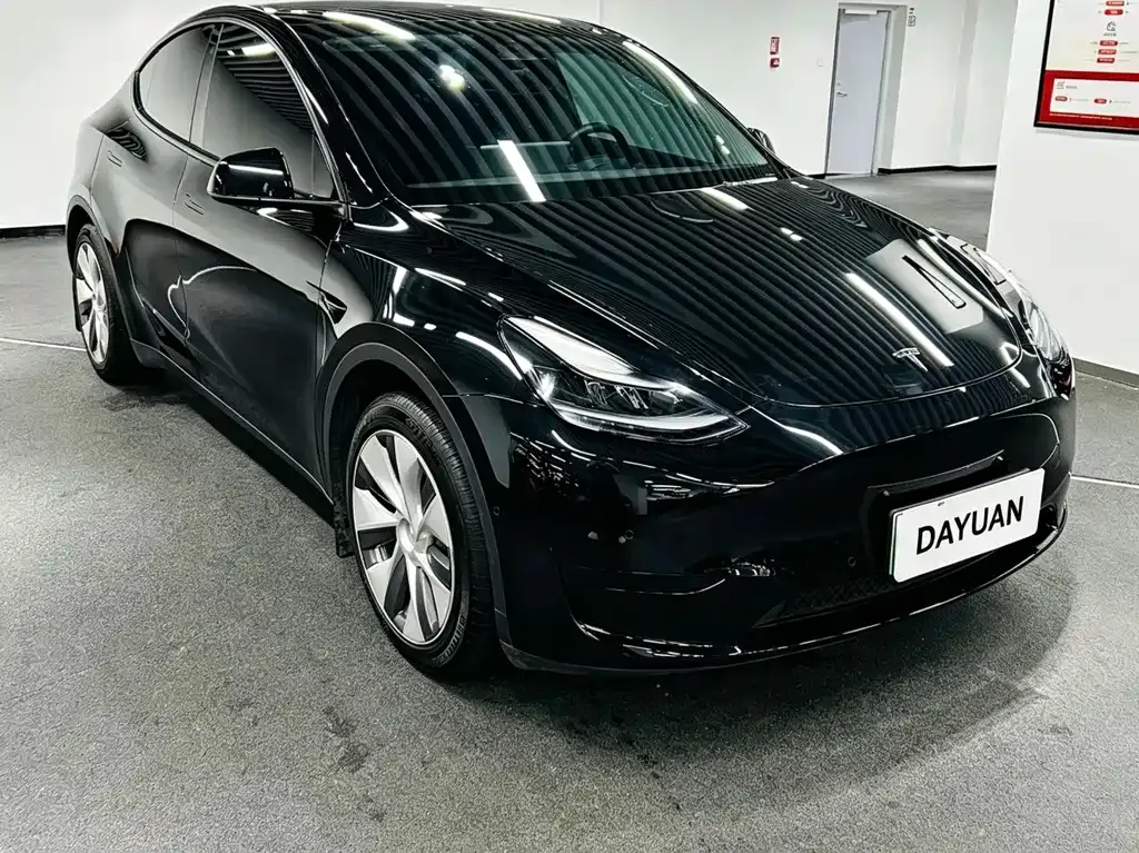 Tesla Model Y — фото 2