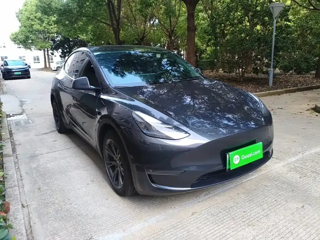 Tesla Model Y — фото 2