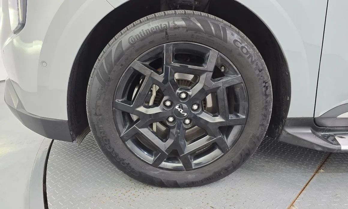 Kia Carnival — фото 10