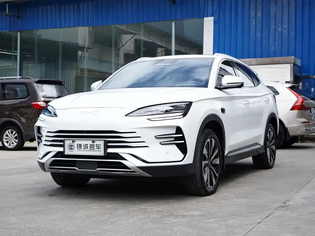 BYD PLUS New Energy — фото 1