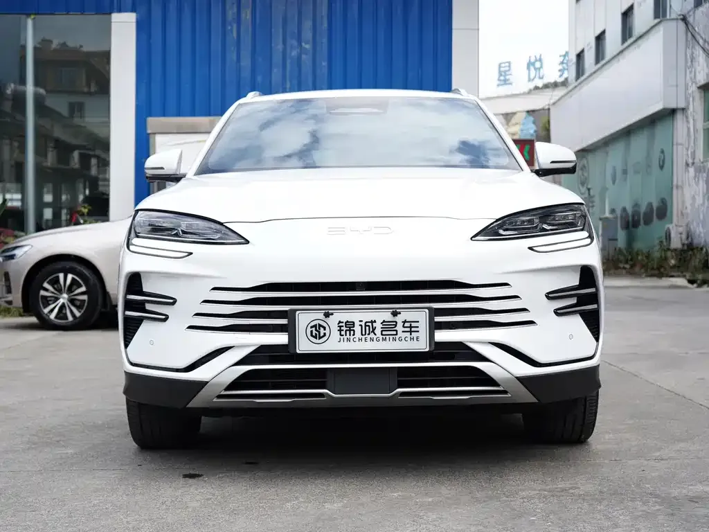 BYD PLUS New Energy — фото 4