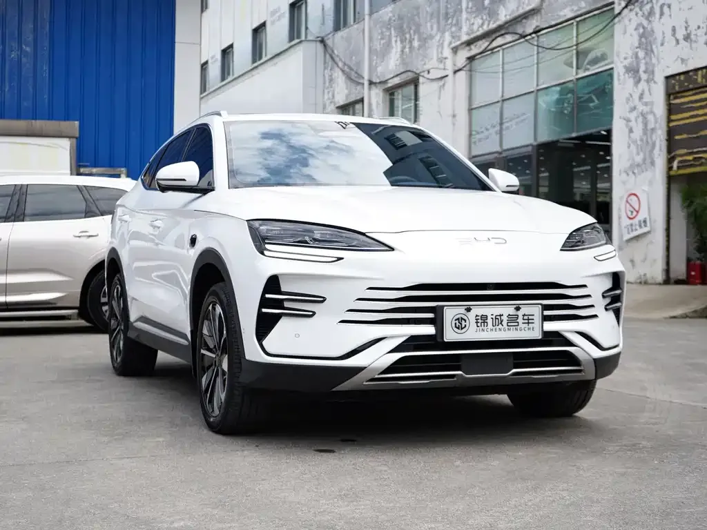 BYD PLUS New Energy — фото 3