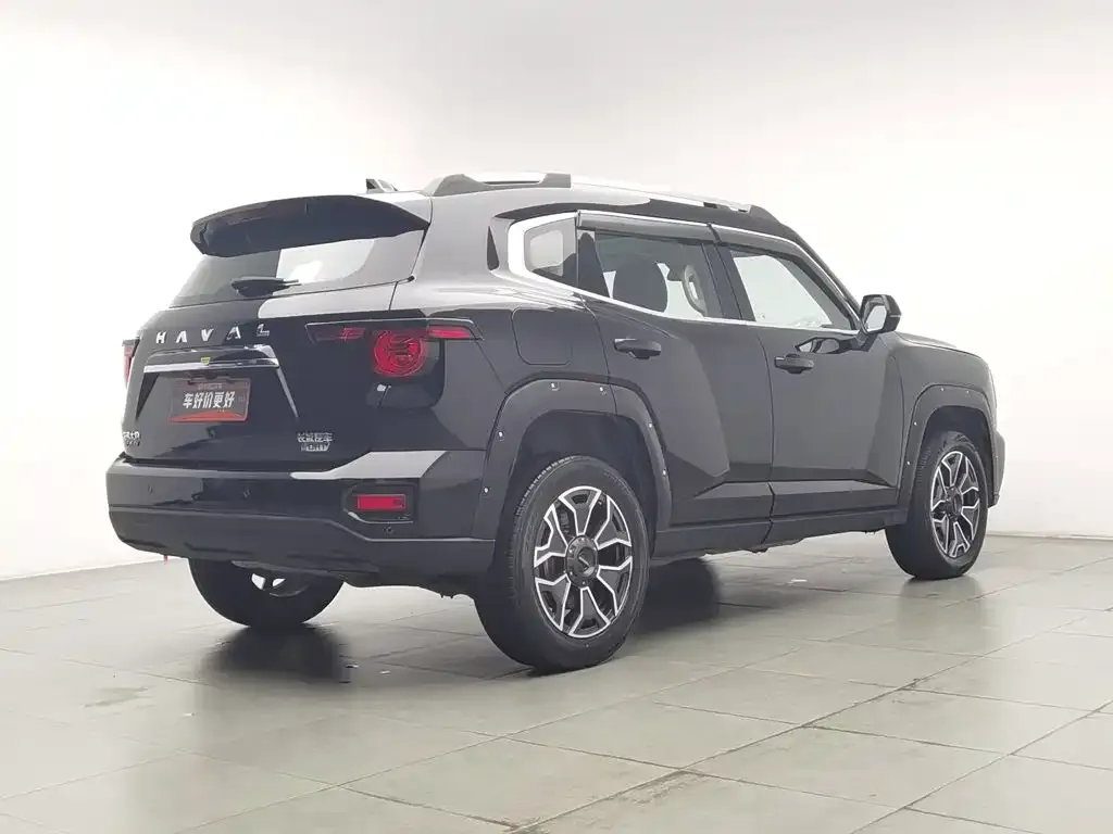 Haval Big Dog PLUS New Energy — фото 7