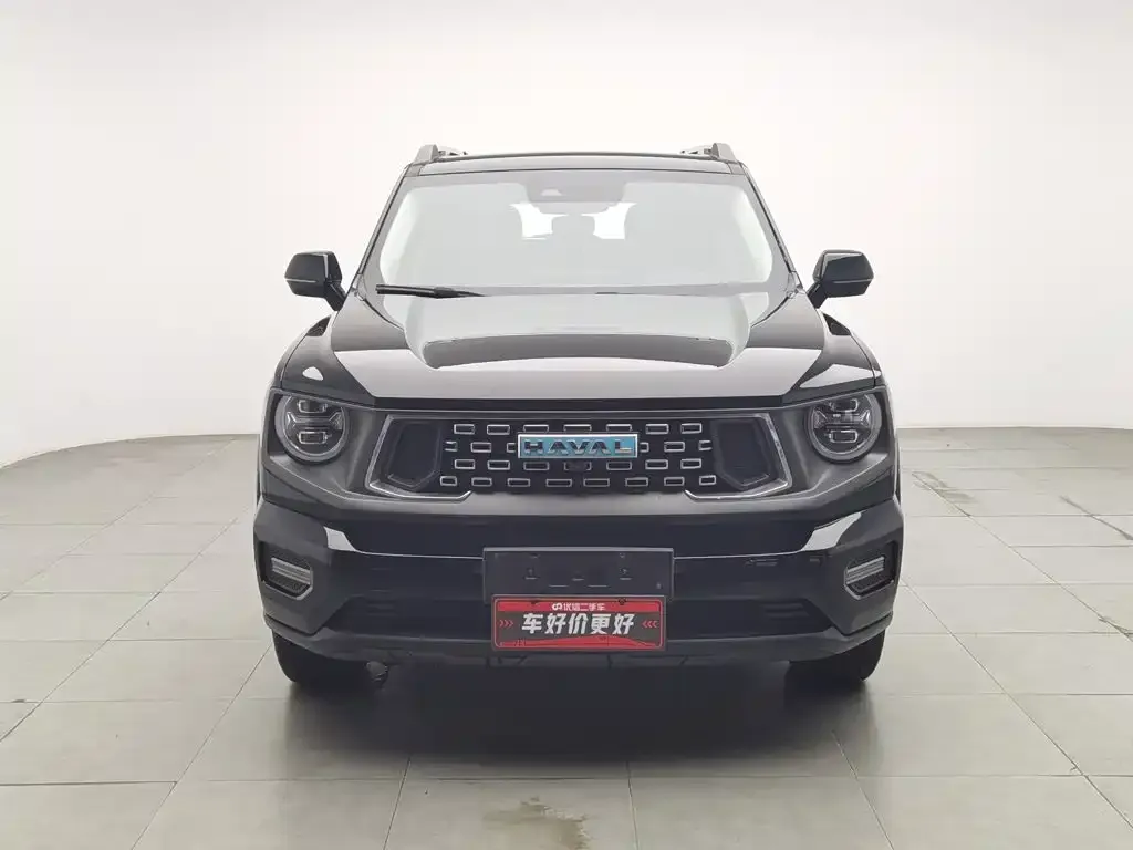 Haval Big Dog PLUS New Energy — фото 2