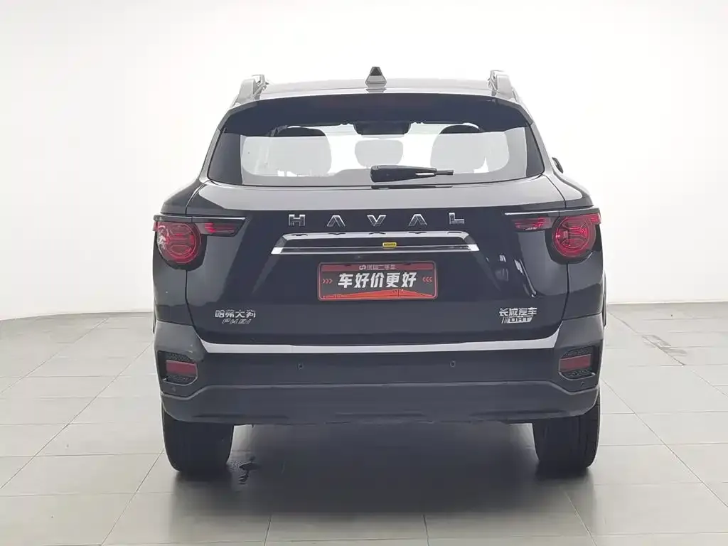 Haval Big Dog PLUS New Energy — фото 3