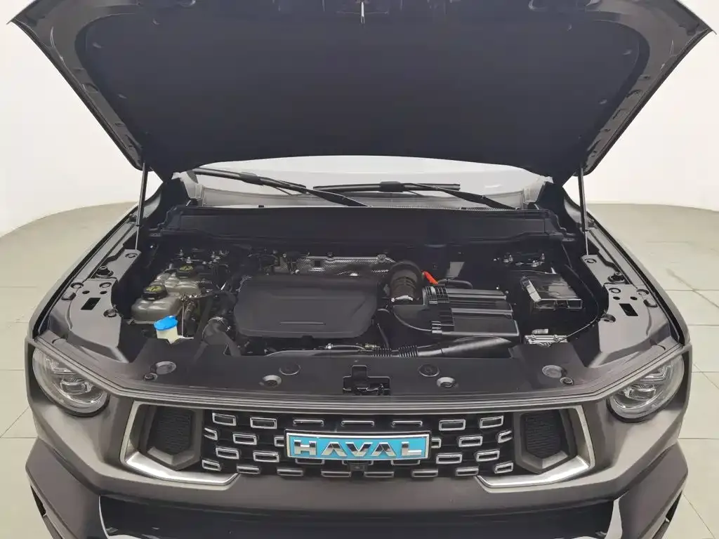 Haval Big Dog PLUS New Energy — фото 9