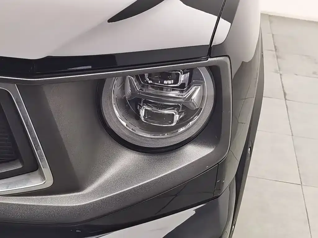 Haval Big Dog PLUS New Energy — фото 6