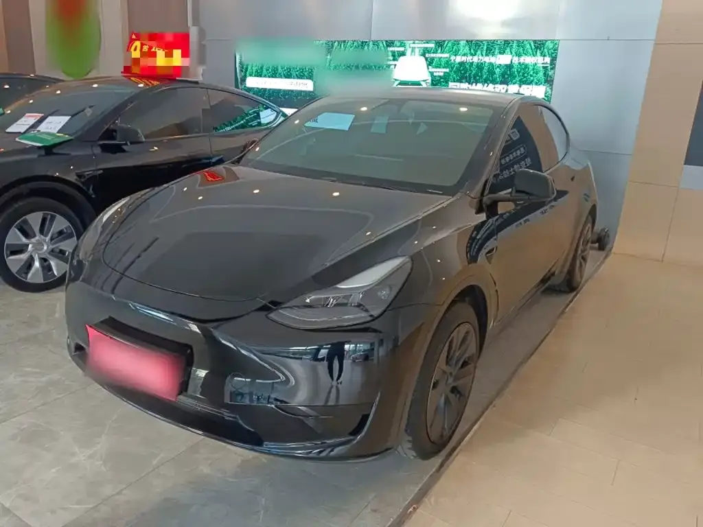 Tesla Model Y — фото 3