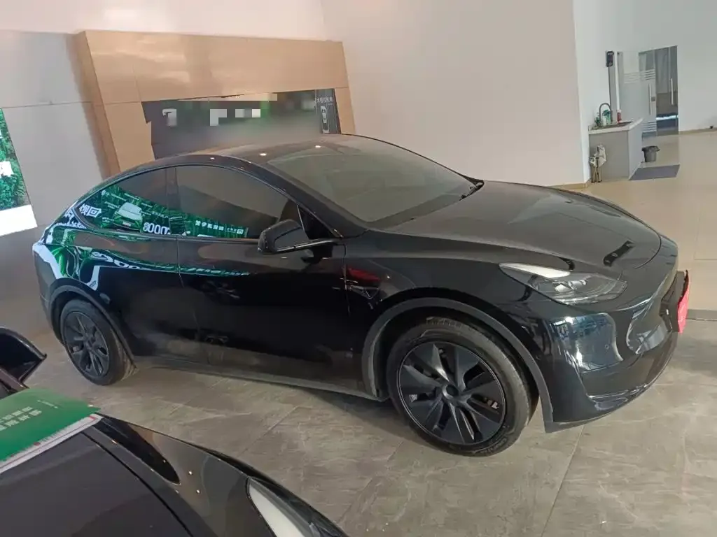Tesla Model Y — фото 10