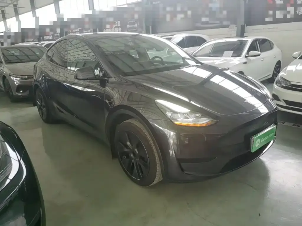 Tesla Model Y — фото 3