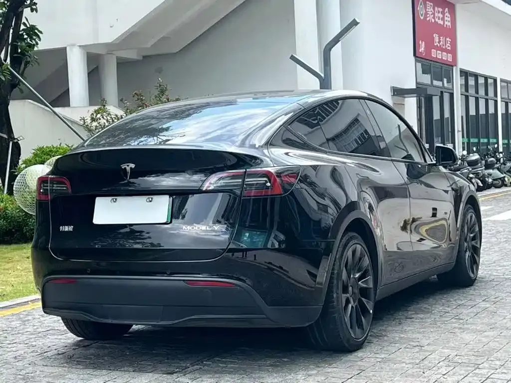 Tesla Model Y — фото 2