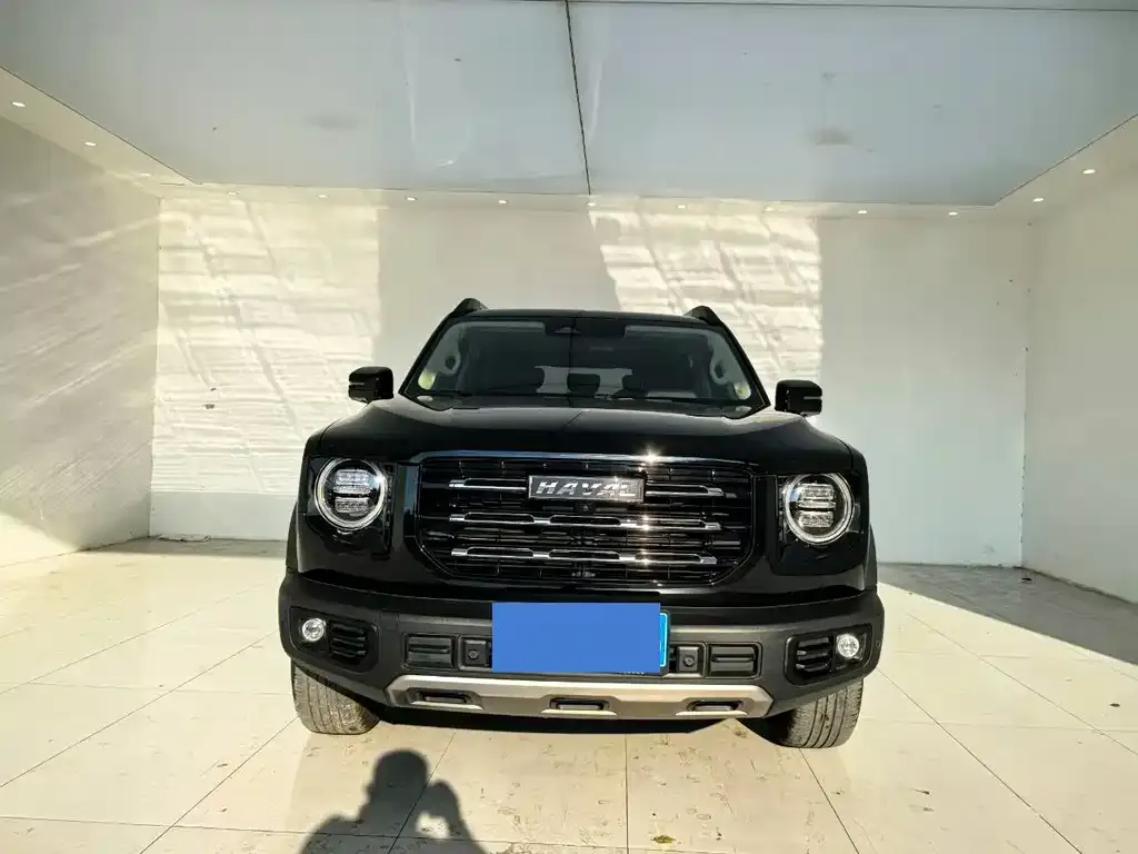 Haval Big Dog — фото 10