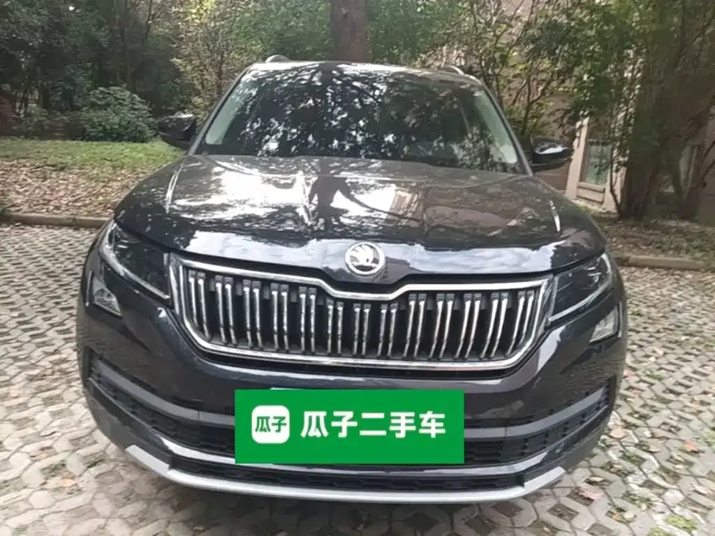 Skoda Kodiaq — фото 2