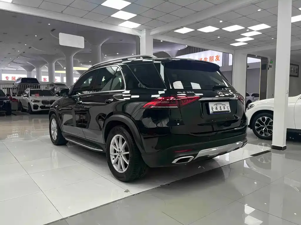 Mercedes-Benz GLE (Import) — фото 10
