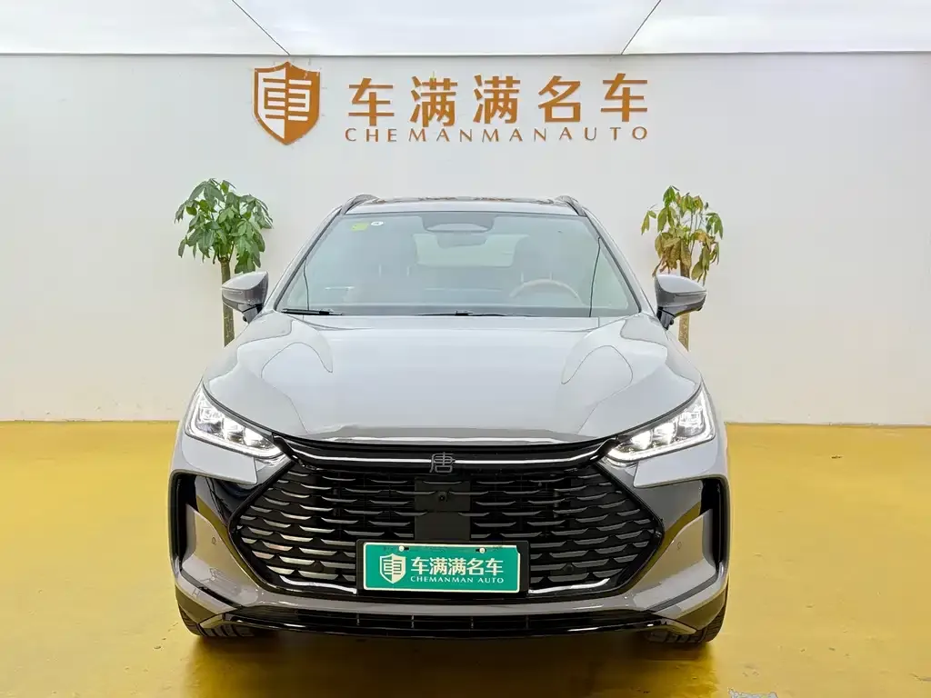 BYD Tang New Energy — фото 5