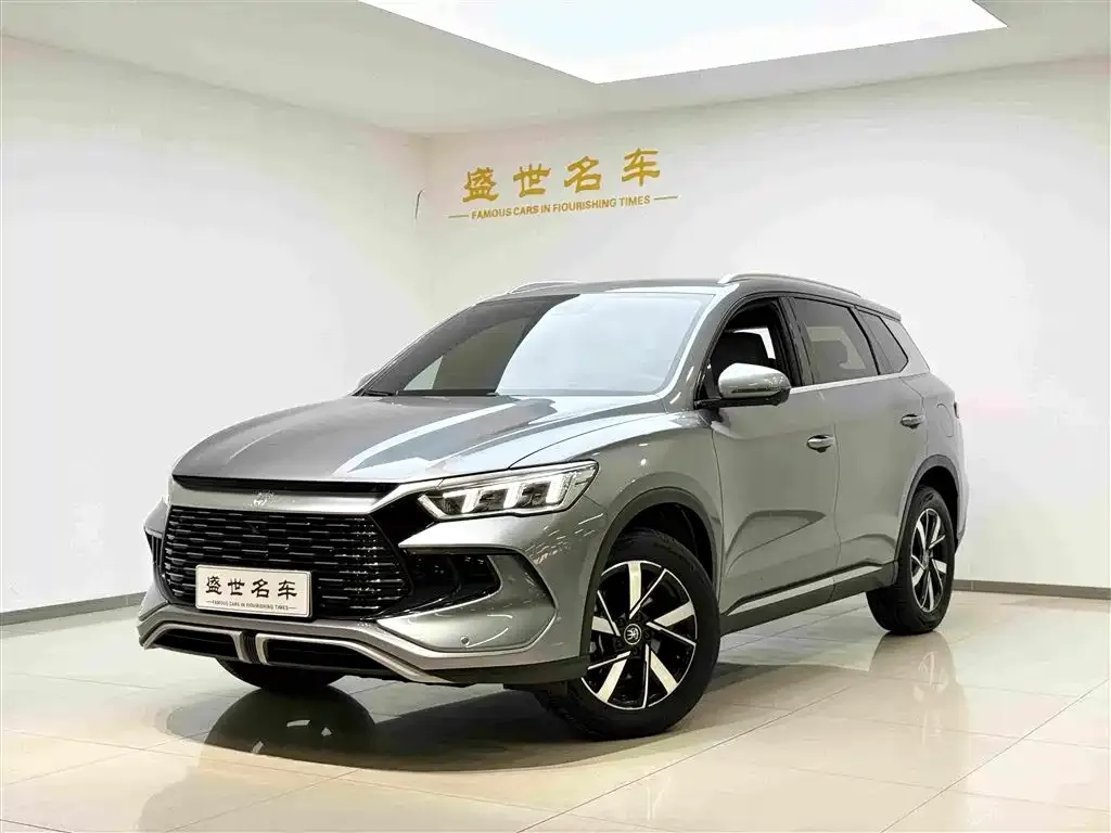 BYD Pro New Energy — фото 1