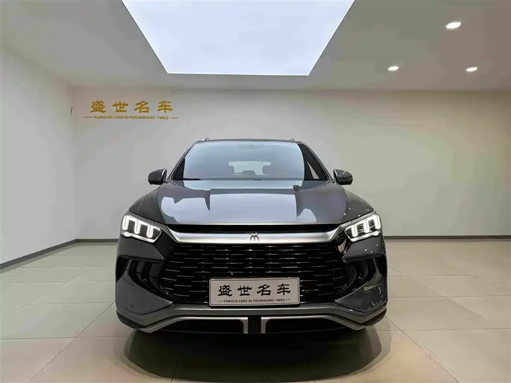BYD Pro New Energy — фото 7