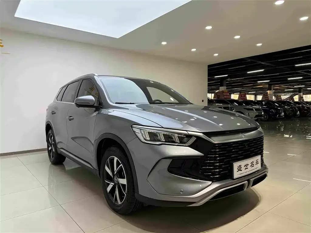 BYD Pro New Energy — фото 8