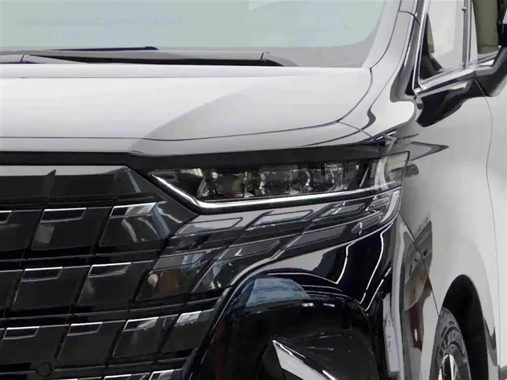 Toyota Alphard — фото 9