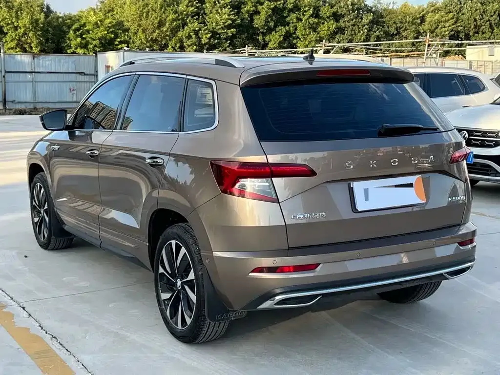 Skoda Karoq — фото 6