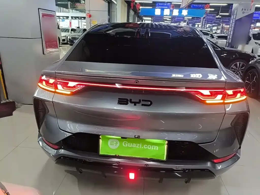 BYD L EV — фото 1