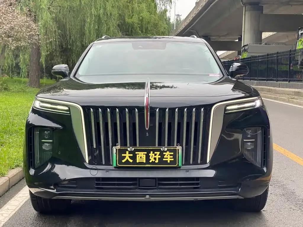 Hongqi E-HS9 — фото 6