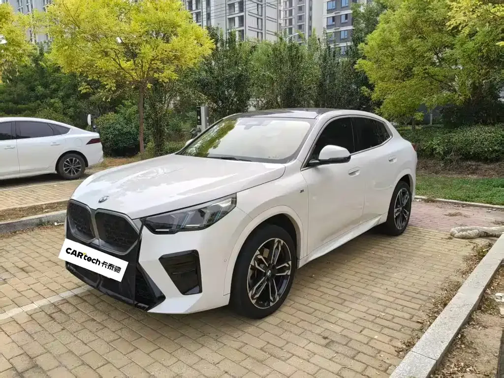BMW X2 (Import) — фото 1