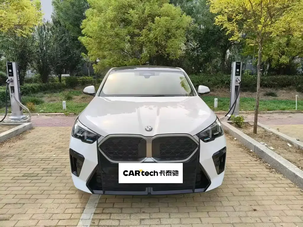 BMW X2 (Import) — фото 9