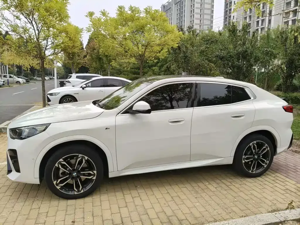 BMW X2 (Import) — фото 6