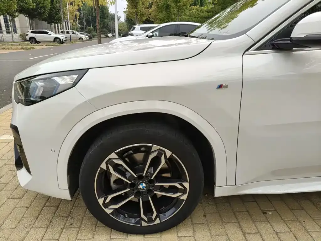 BMW X2 (Import) — фото 8