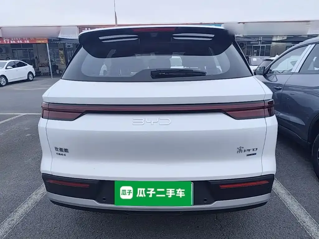 BYD Pro New Energy — фото 6