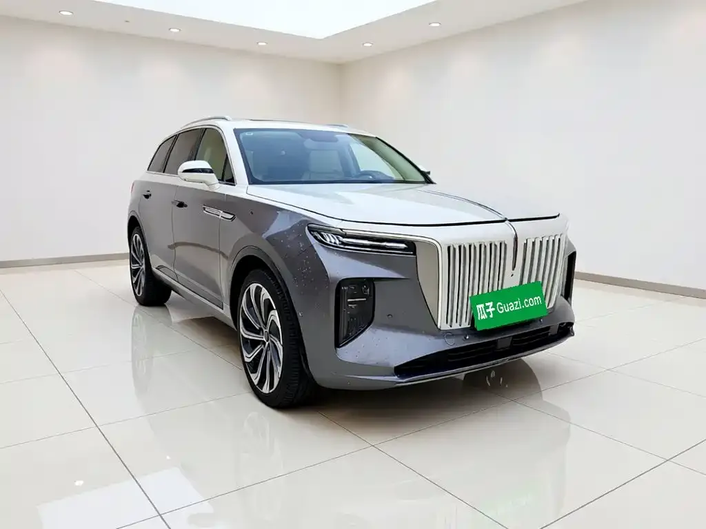 Hongqi E-HS9 — фото 2