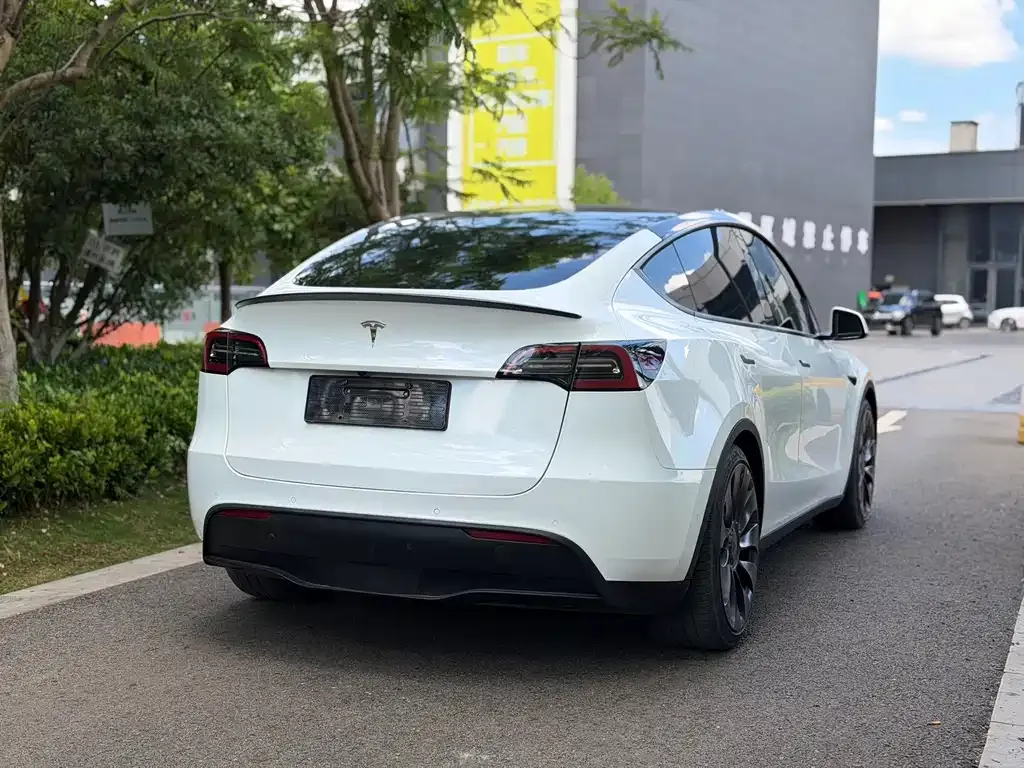 Tesla Model Y — фото 6