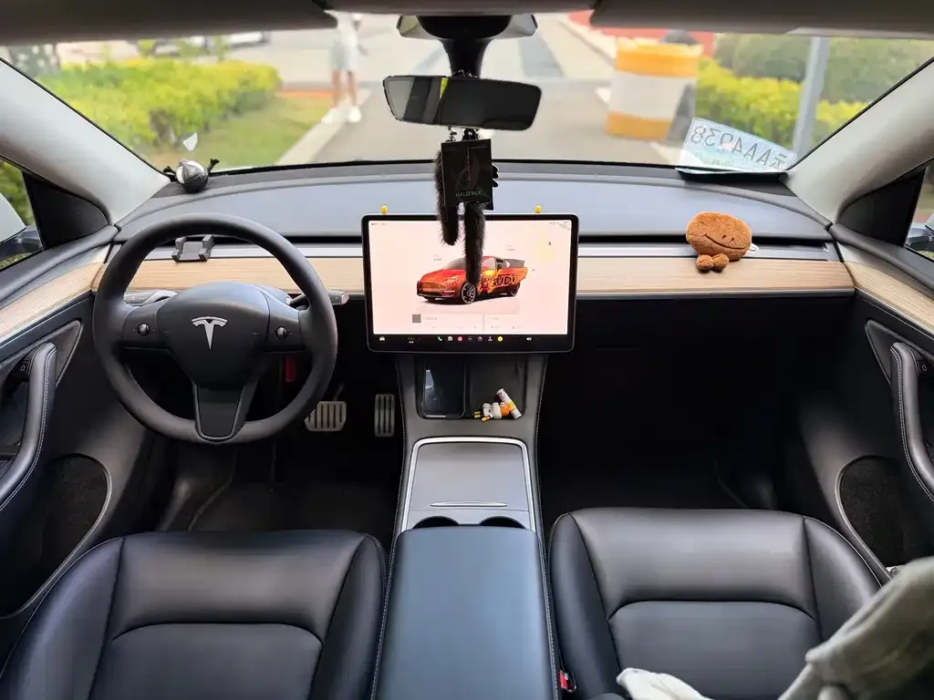 Tesla Model Y — фото 2