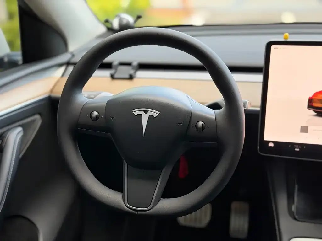 Tesla Model Y — фото 8