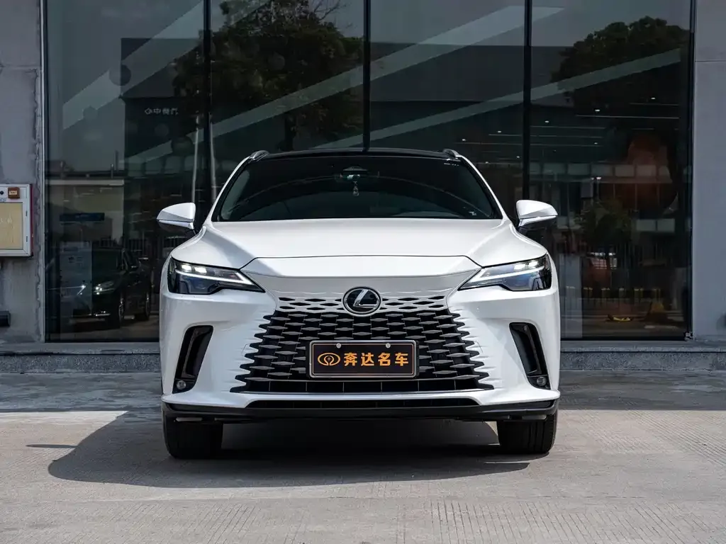 Lexus RX — фото 10