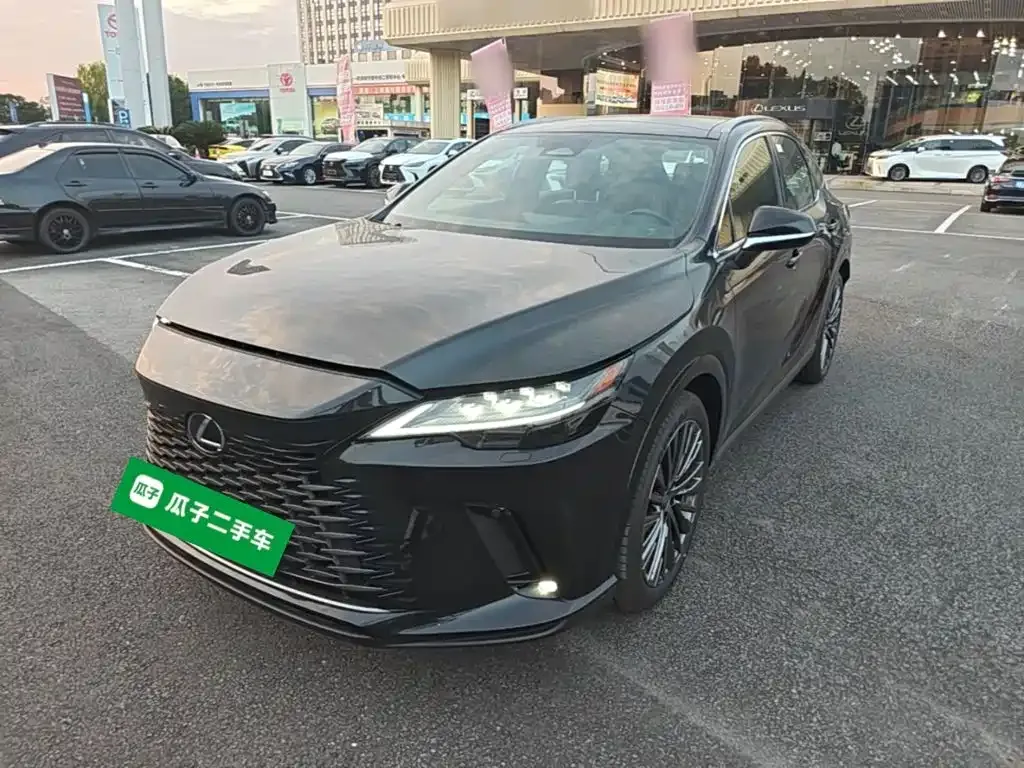 Lexus RX — фото 1