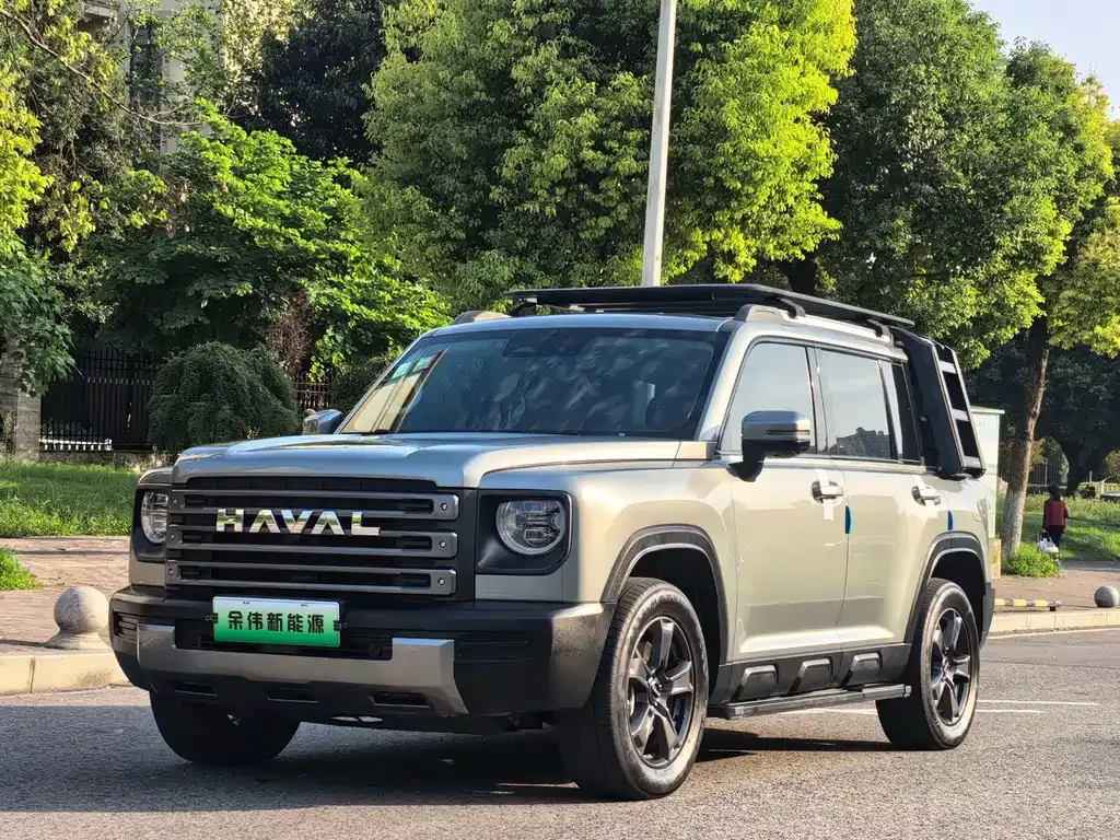 Haval Menglong New Energy — фото 1