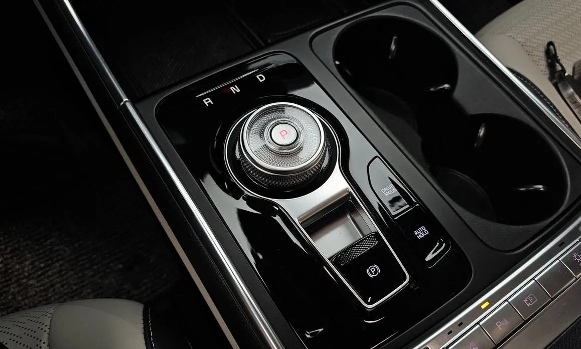 Kia Carnival — фото 10