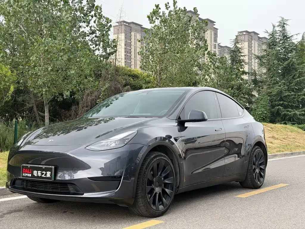Tesla Model Y — фото 1