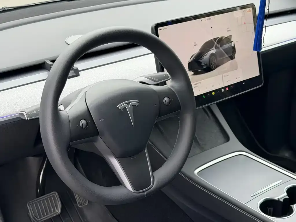 Tesla Model Y — фото 10