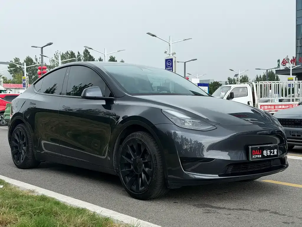 Tesla Model Y — фото 6