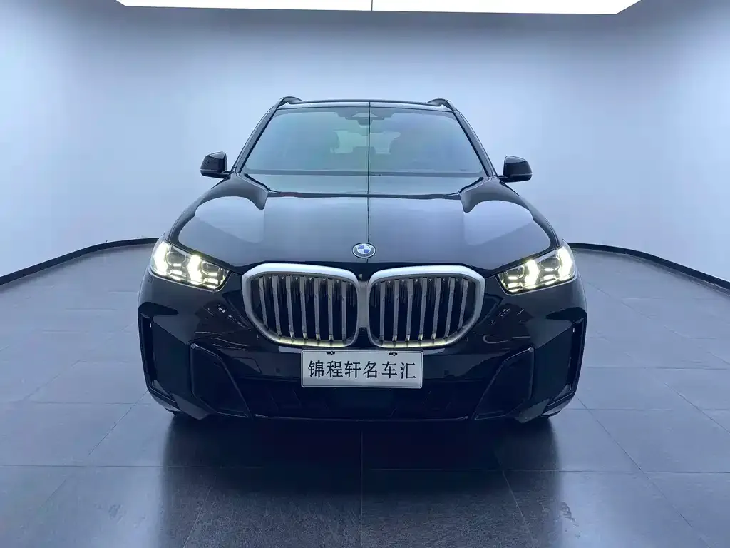 BMW X5 — фото 10