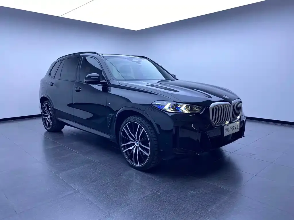 BMW X5 — фото 9