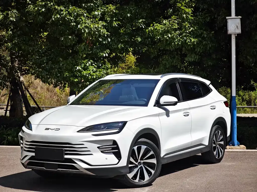 BYD PLUS New Energy — фото 1