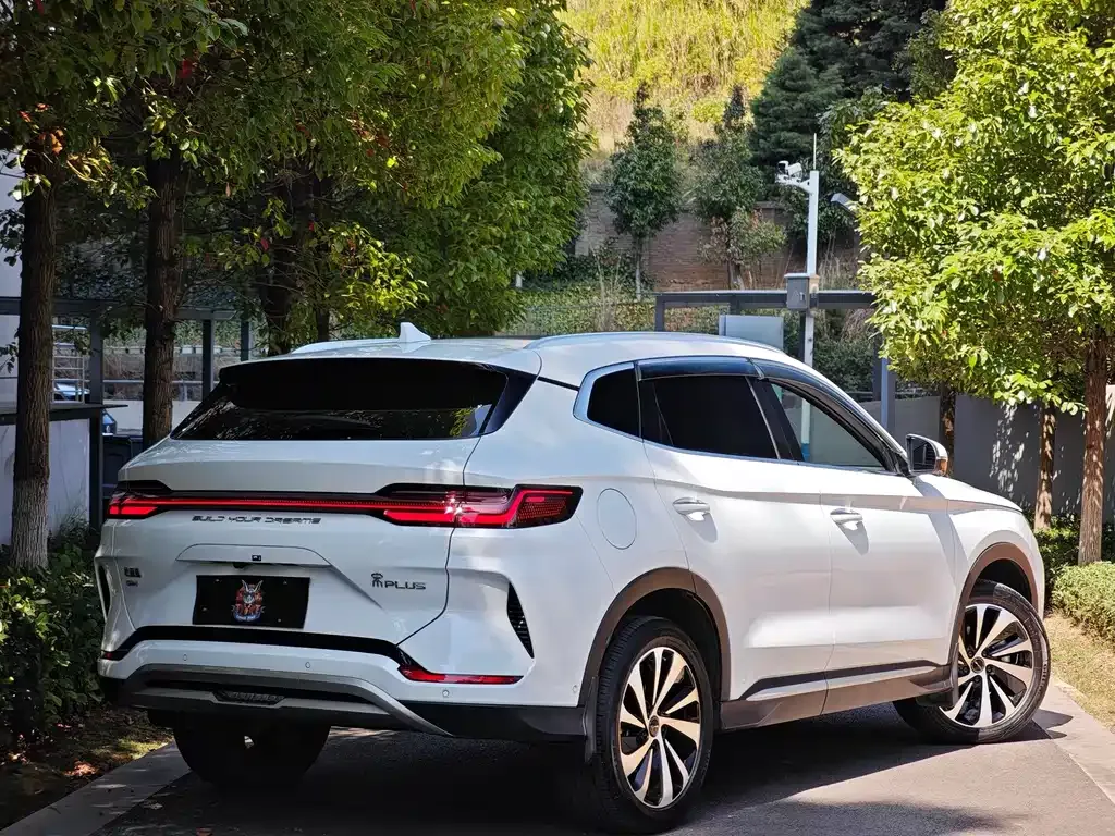 BYD PLUS New Energy — фото 2