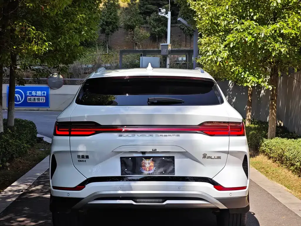 BYD PLUS New Energy — фото 10