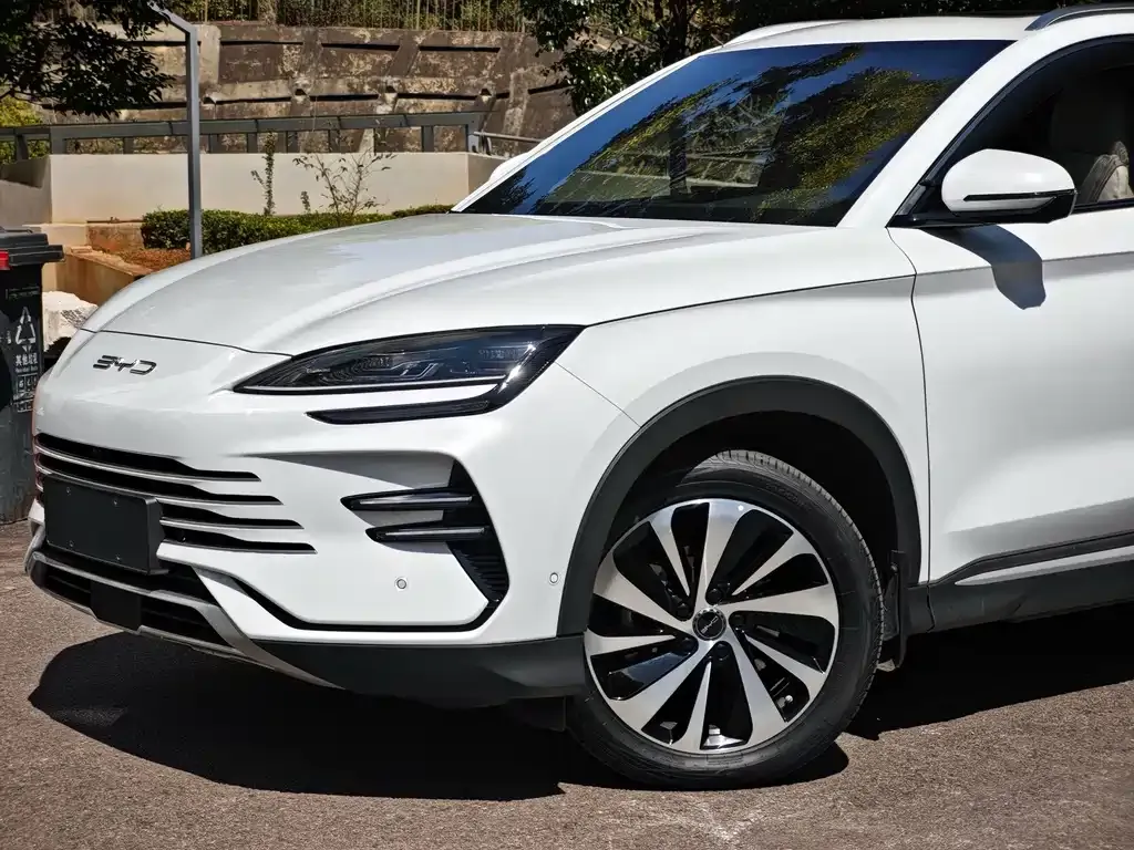 BYD PLUS New Energy — фото 4